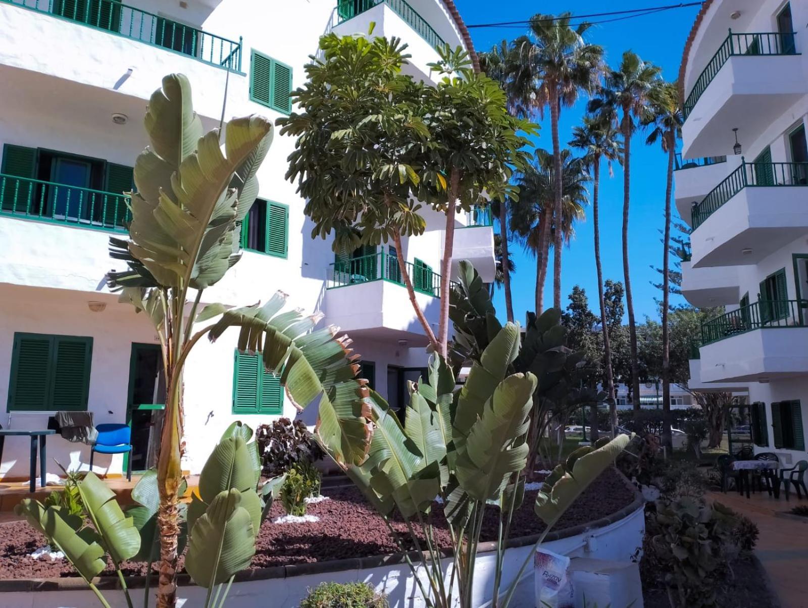 Canarian Havaii En Faluas Playa del Inglés Exteriér fotografie